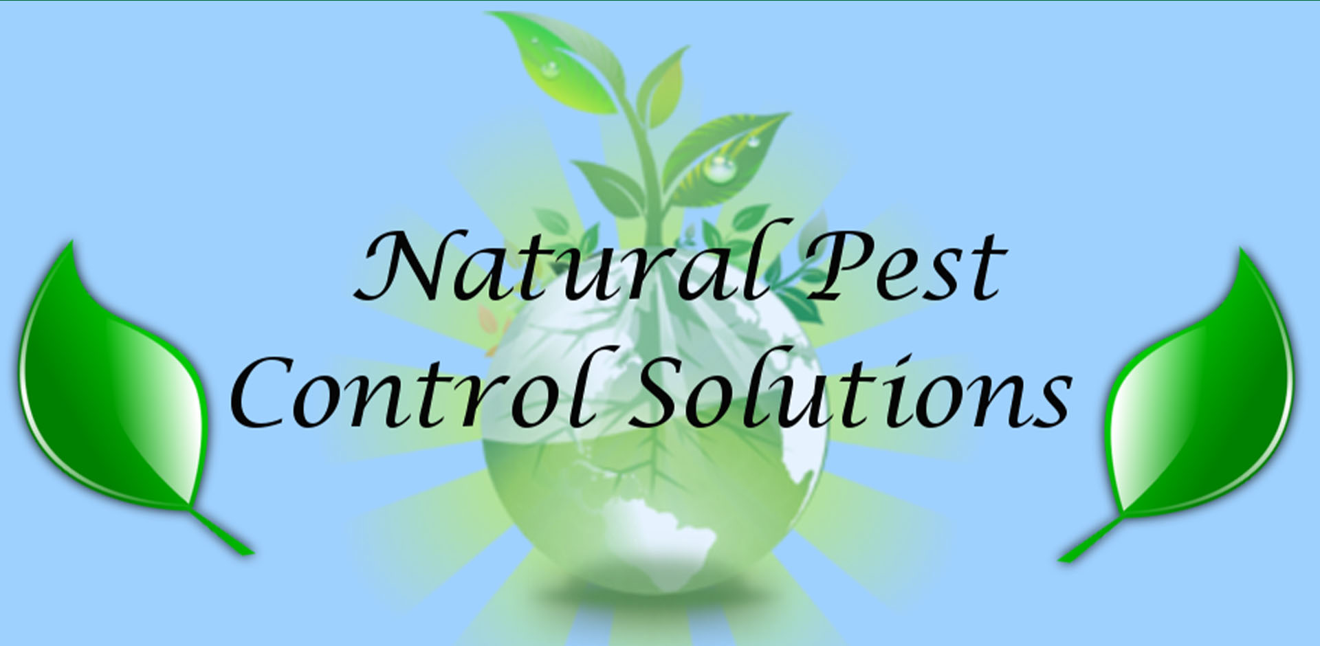 Natural Pest Control Alabama
