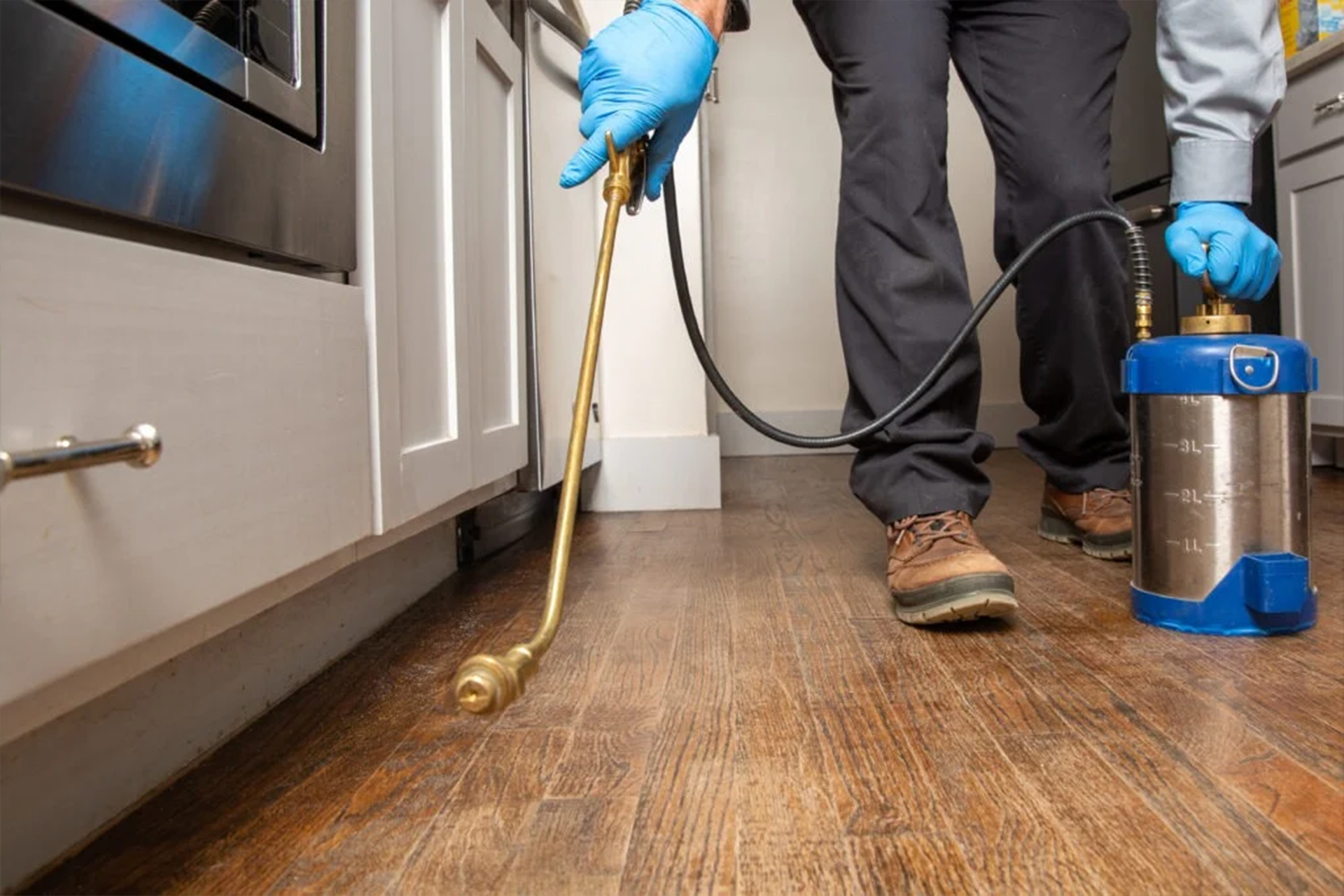 Birmingham-Alabama Exterminator